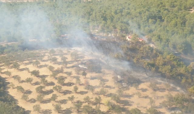 İzmir'de arazide çıkan yangın, ormanlık alana sıçradı