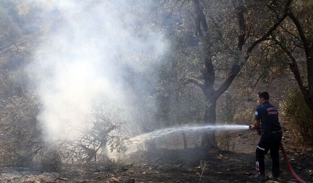 Muğla'da orman ayangını: Müdahale sürüyor!