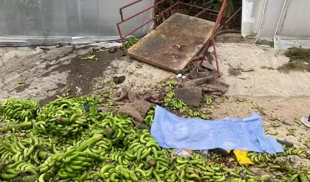 Muz serasında halat koptu, 2 işçi vefat etti, 2 kişi tutuklandı