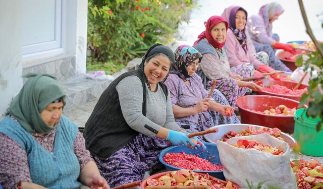 Aliağa'nın doğal Çıtak nar ekşisi sofralara lezzet katıyor