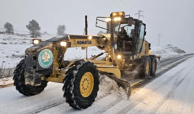 Manisa'da 200 ağaç devrildi, 52 su baskını yaşandı