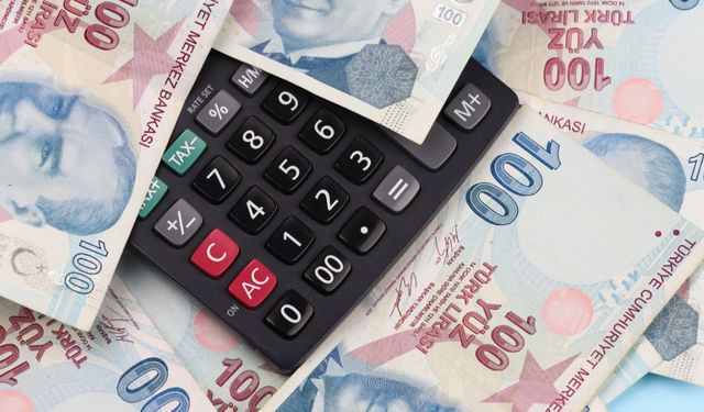 Hesaplarınızı kontrol edin: 153,3 milyon lira destek ödemeleri yapılmaya başlandı!