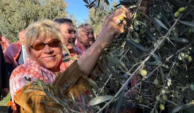 İzmir'de zeytin ve zeytinyağı sezonu coşkuyla açıldı