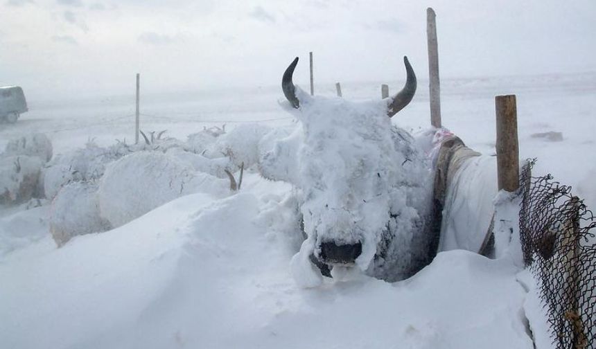 Kırgızistan, Türkiye, Bangladeş değil! O ülkede 1975’ten bu yana en şiddetli kar yağışı meydana geldi