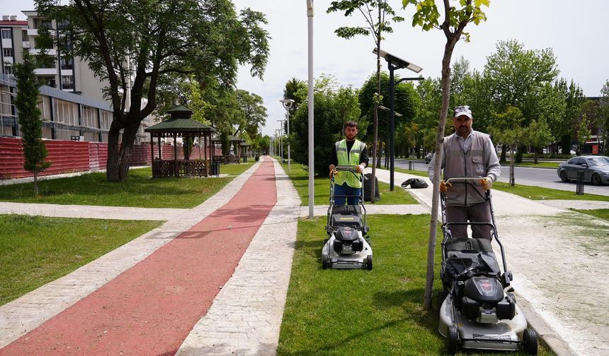 Elazığ'da yeşilin yeni adresi: Park ve bahçelerde bahar temizliği hız kazandı!