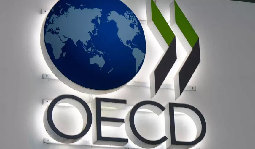 OECD Raporuyla Türkiye Ekonomisi: Büyüme Düşerken Enflasyon Artıyor