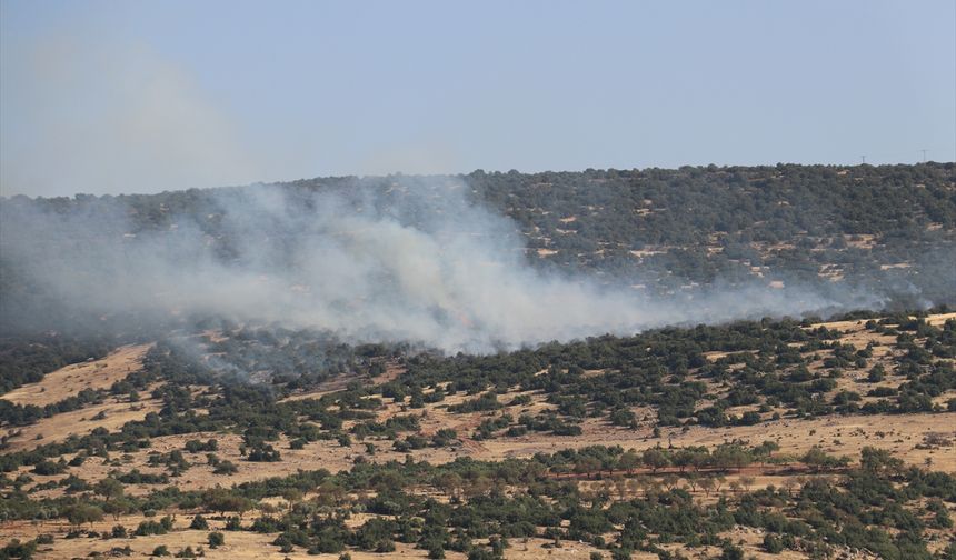Kilis'te çıkan orman yangını kısmen kontrol altına alındı