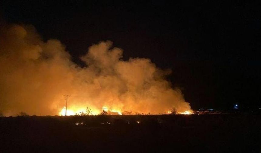Muğla'da yangın alarmı: Bal depolama tesisi alevlere teslim oldu