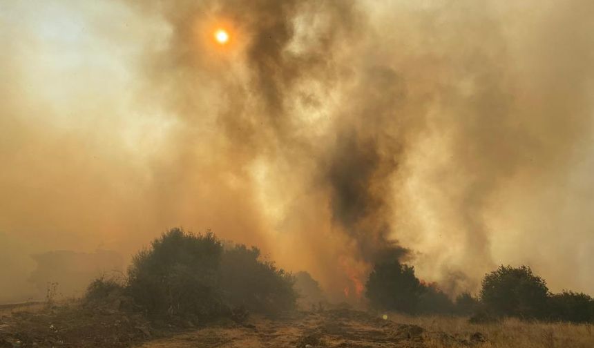 İzmir'deki orman yangını 8 saatte kontrol altına alındı!