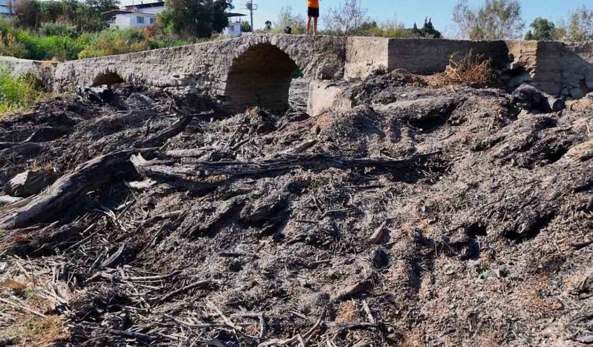 Aydın'da tarihi taş köprü çöplerle yıkılma tehdidi altında!