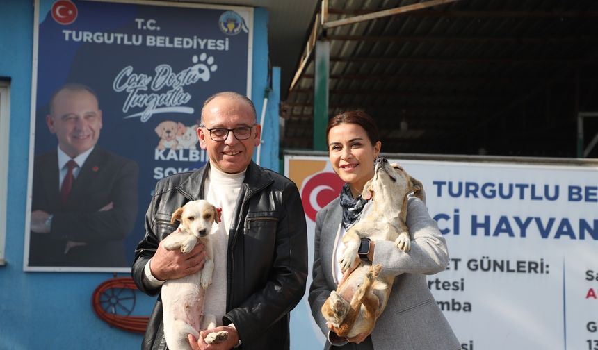 Turgutlu'da online hayvan sahiplendirme hizmeti başladı