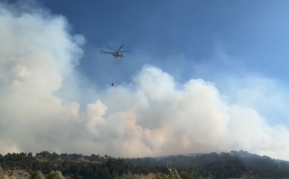 Uşak'ta ormanlık alanda yangın çıktı