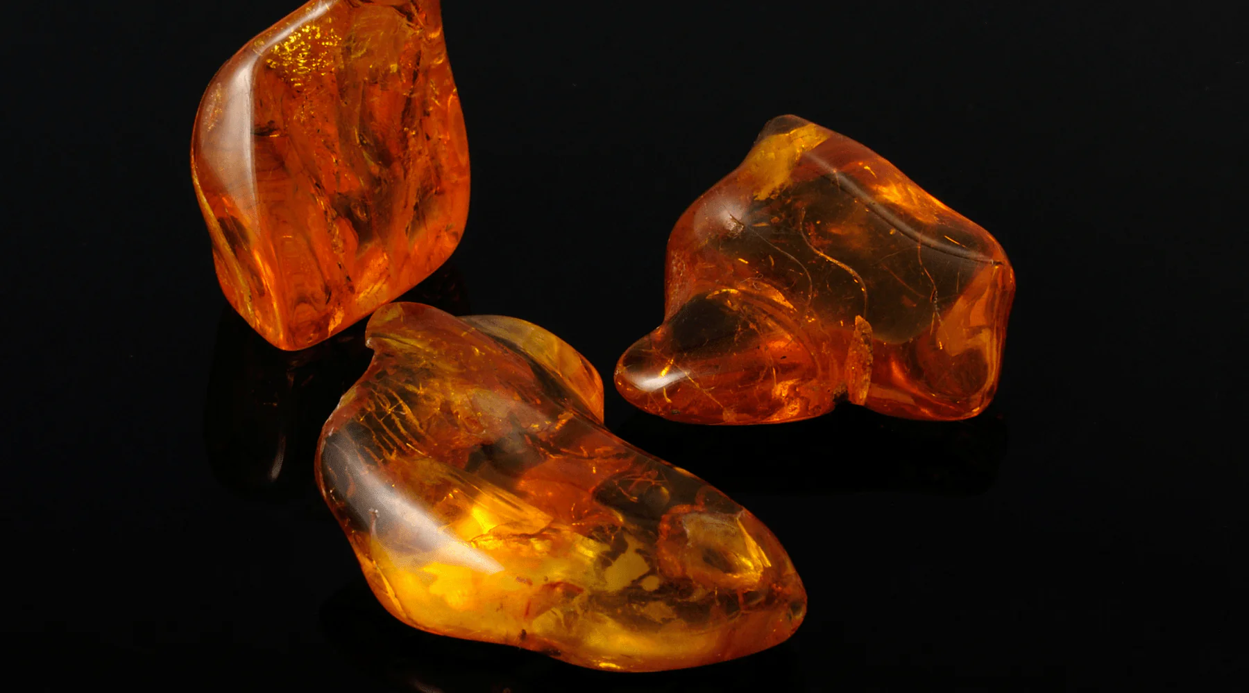 amber-nasil-elde-edilir-amber-nedir-nasil-kokar1