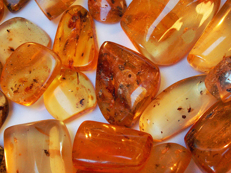 amber-nasil-elde-edilir-amber-nedir-nasil-kokarsd