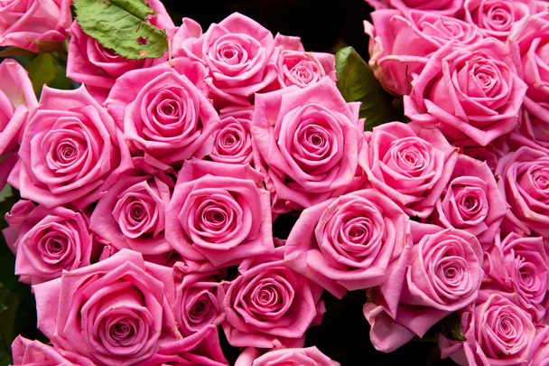 stock-photo-roses-background