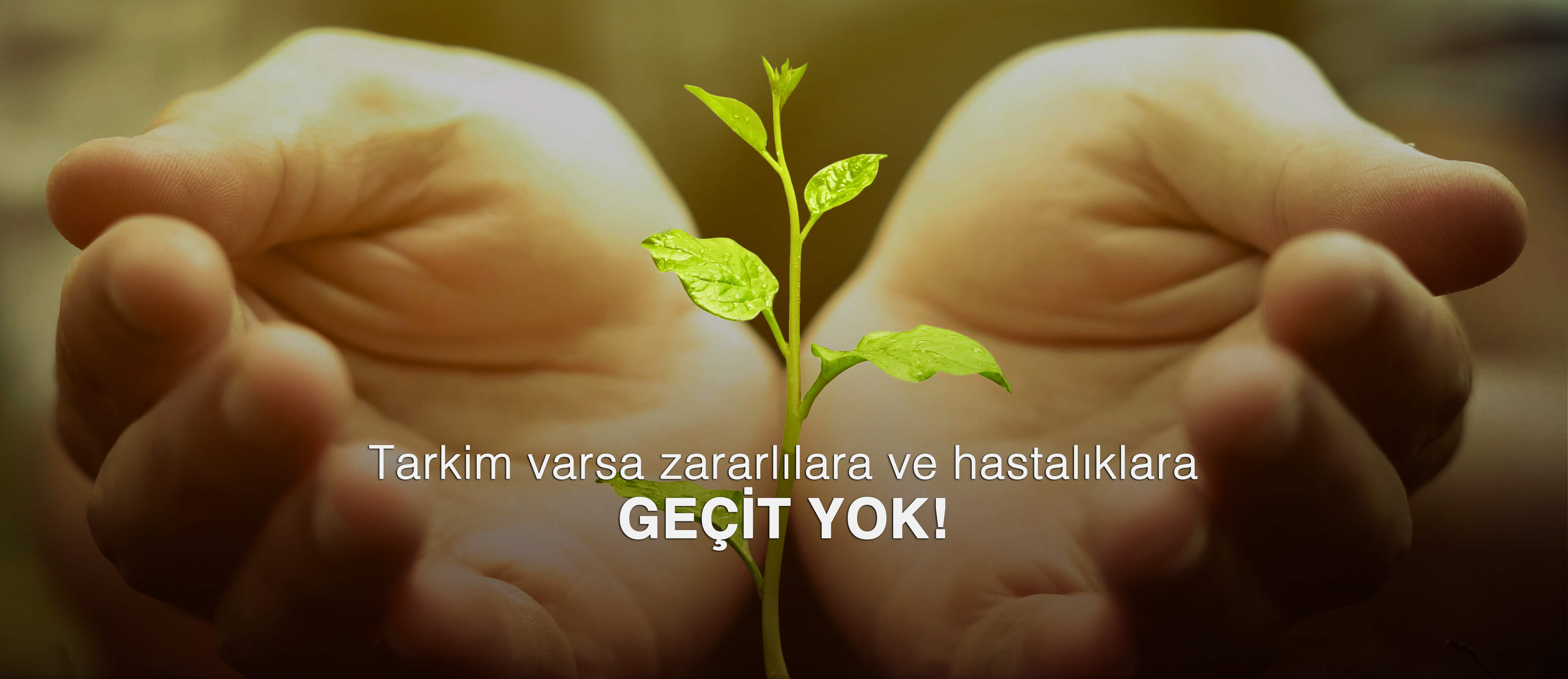 tarkim-ne-zaman-halka-arz-olacak-tarkim-ne-is-yapar-tarkim-kac-lot-verir-tarkim-kazandirir- (5)