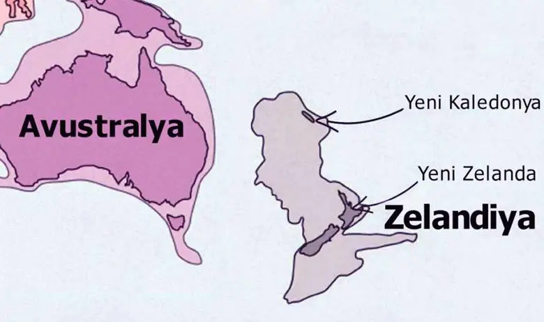 zelandiya-bulunmasi-375-yil-suren-kayip-kita-kayip-sekizinci-kita-zelandiya-ilk-kez-nasil-h