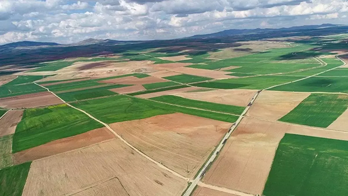 KDV'den muaf arsa satışları yatırımcıları cezbediyor (1)