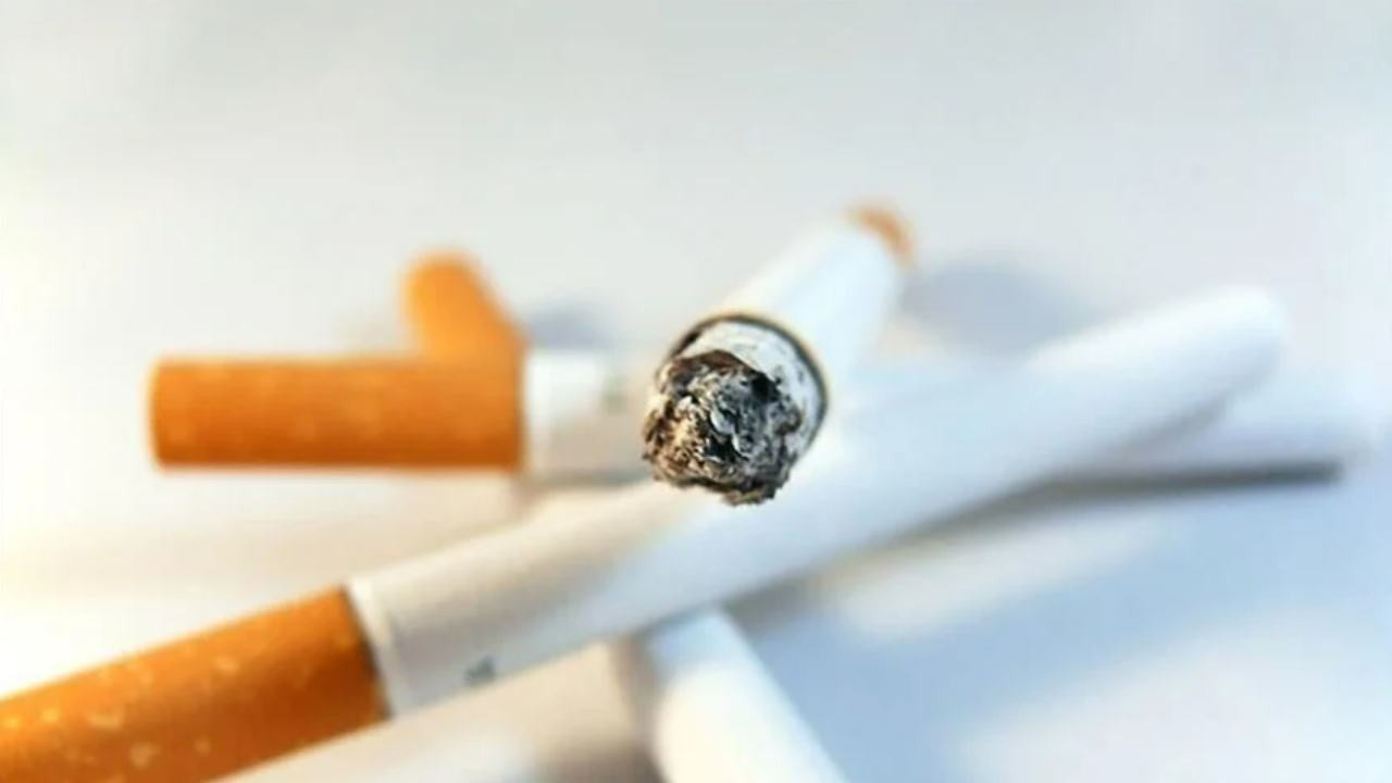 Philip Morris Grubu Sigaralara Zam Mi Geldi Philip Morris Grubu Sigaralari Guncel Fiyat Lis