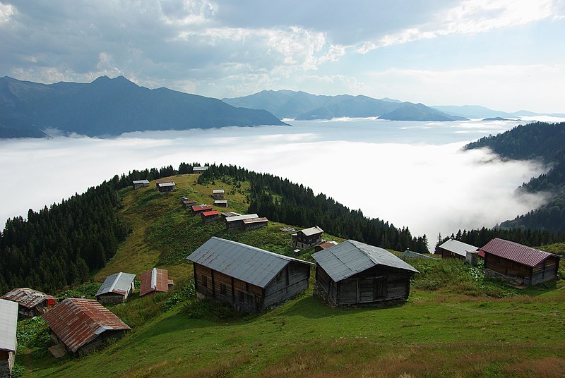 Pokut Yaylası