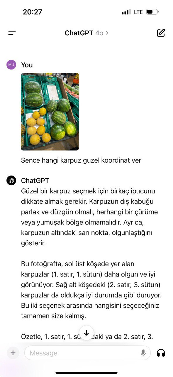 Yapay Zeka Karpuz Yeni Bakış