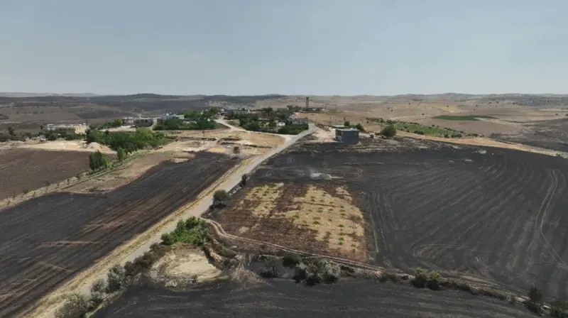 Diyarbakir Ve Mardinde Cikan Yanginda Kac Kisi Oldu