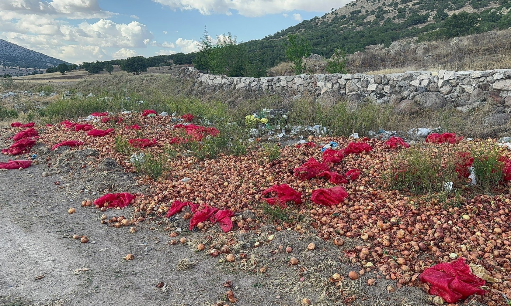 2 Ton Sogan Israfi Vatandaslar Saskinlik Icinde (1)