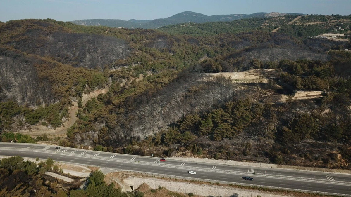 Alevlerin Izleri Bornova'daki Yangın Alanı Drone Ile Görüntülendi (2)