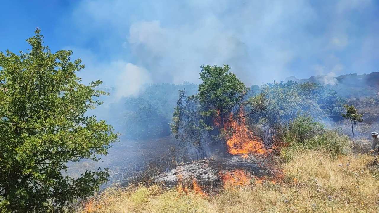 Bingolde Iki Yangin Birden Ekipler Ve Vatandaslar Is Basinda (3)