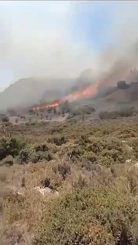 Cesme Orman Yangininda Hayatini Kaybeden Mine Elmas Kimdir (1)-1