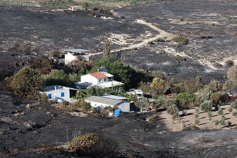 Cesme Orman Yangininda Hayatini Kaybeden Mine Elmas Kimdir (2)