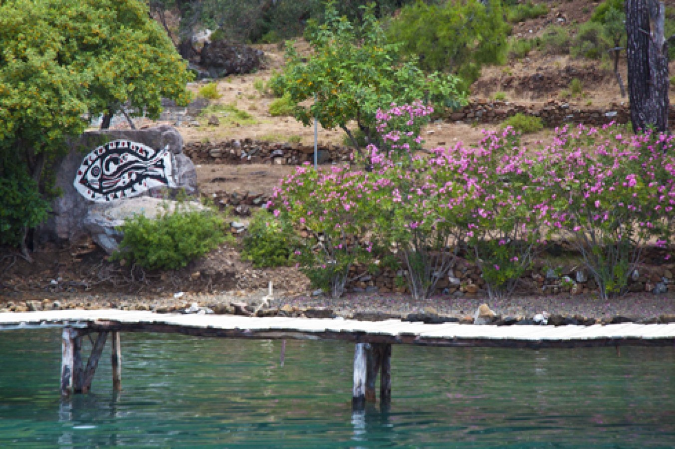 Gocek Bedri Rahmi Koyu