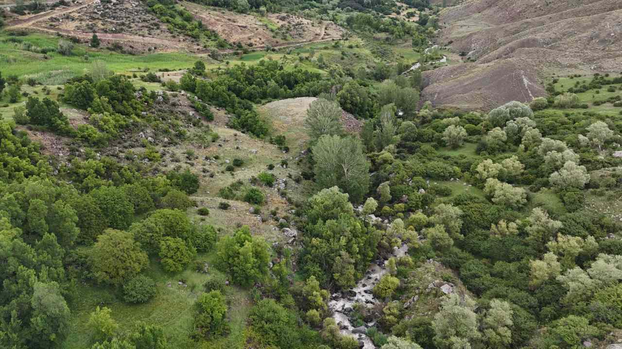 Igdirin Sogal Mucizesi Tuzlucanin Yuksek Kesimlerinde Carpici Manzara (1)