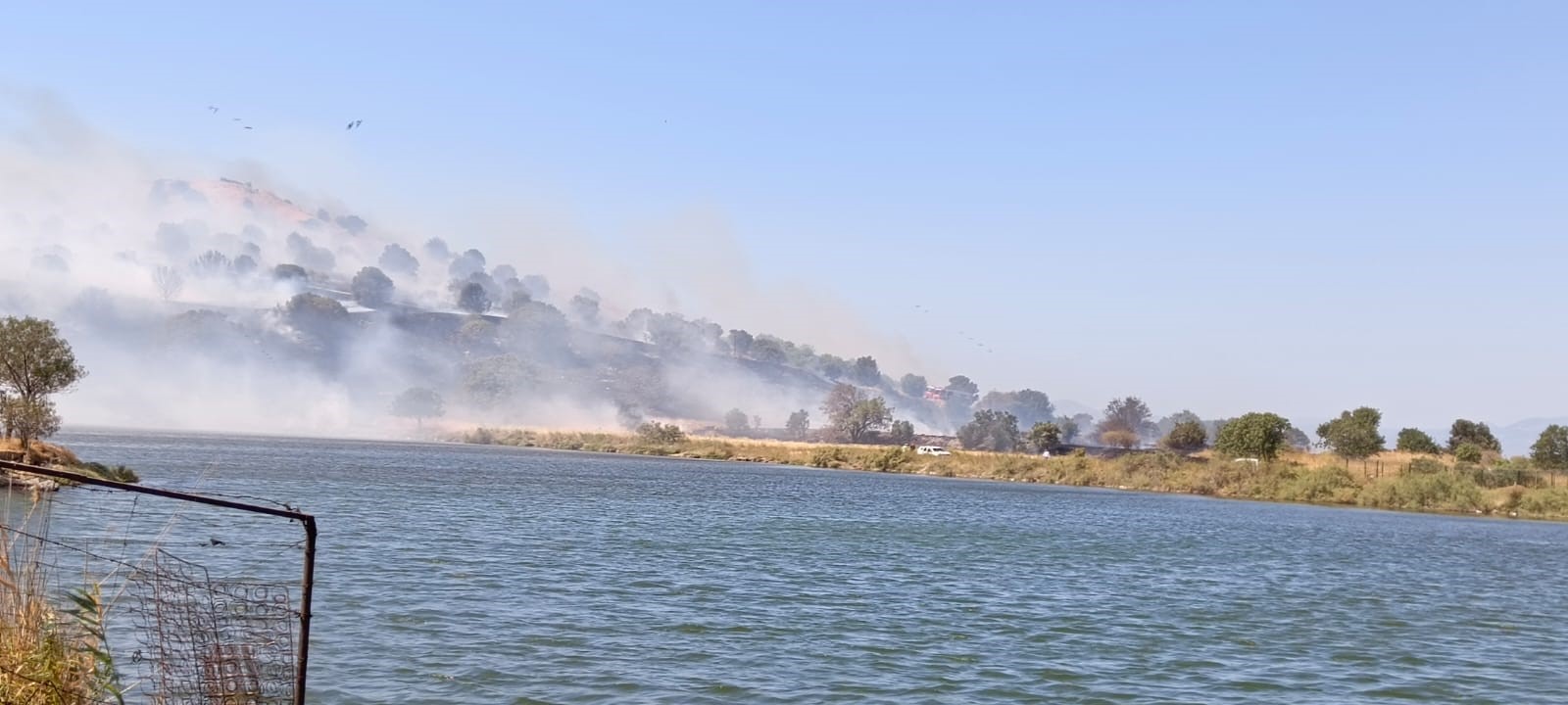 Izmir Aliagada Otluk Yangin Cikti Havadan Ve Karadan Mudahale Ediliyor (3)