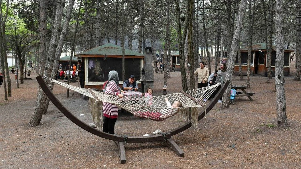 Piknikcilerin Yeni Gozdesi Park Ankara