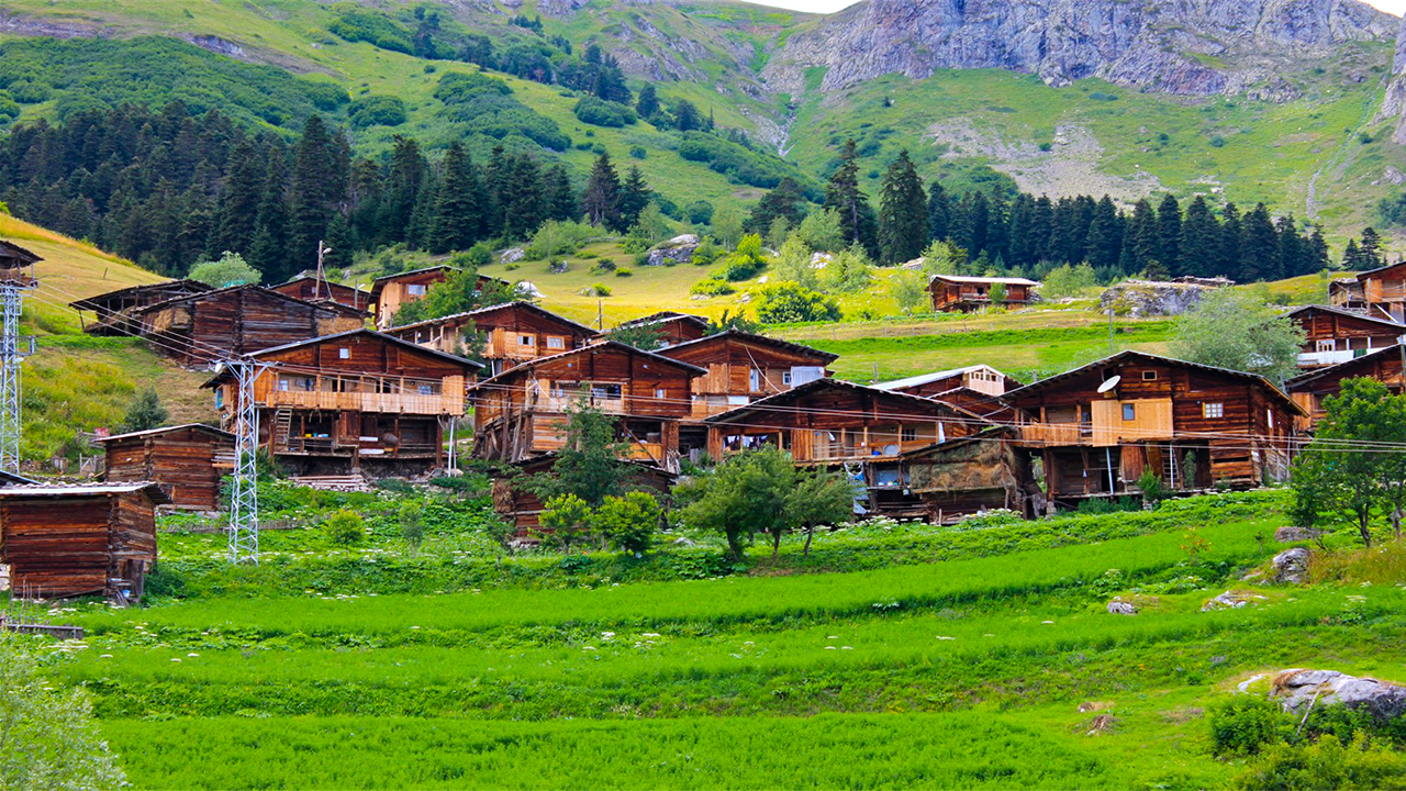 Posof Yaylaları Tatil Köyü