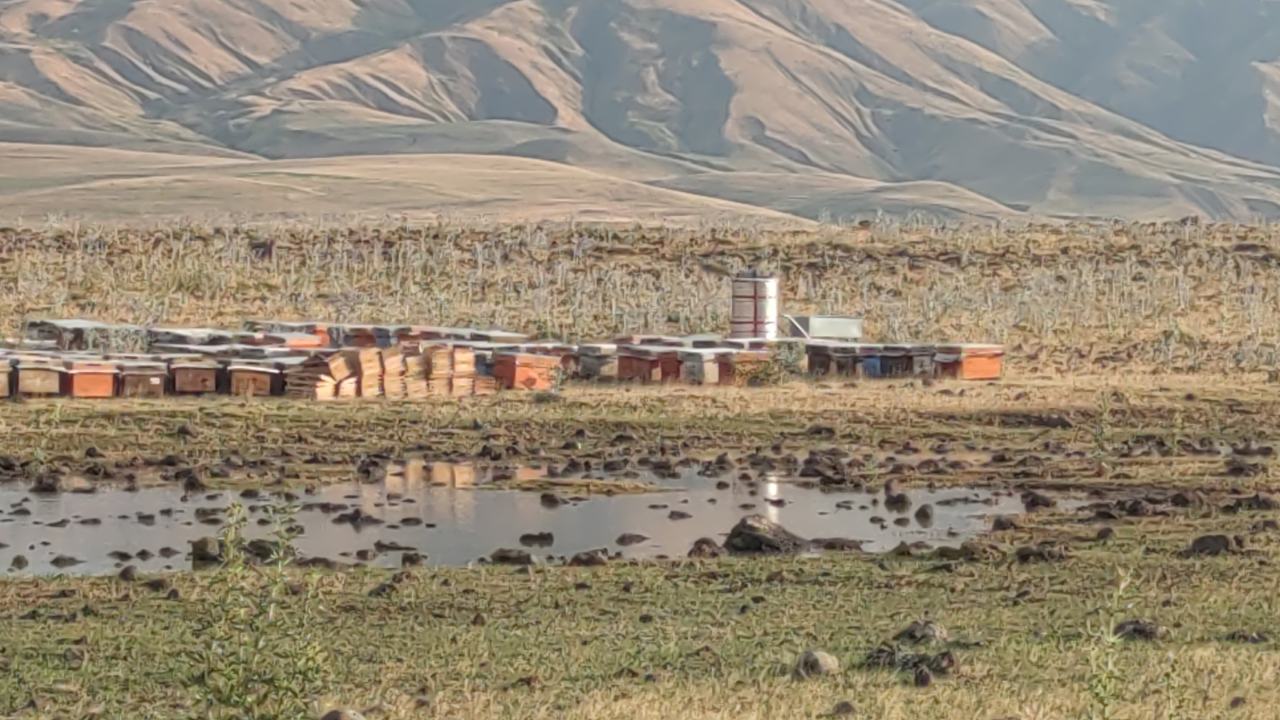 Vandaki Saganak Yagmurun Zararlari Buyuyor Kovanlar Sular Altinda (1)