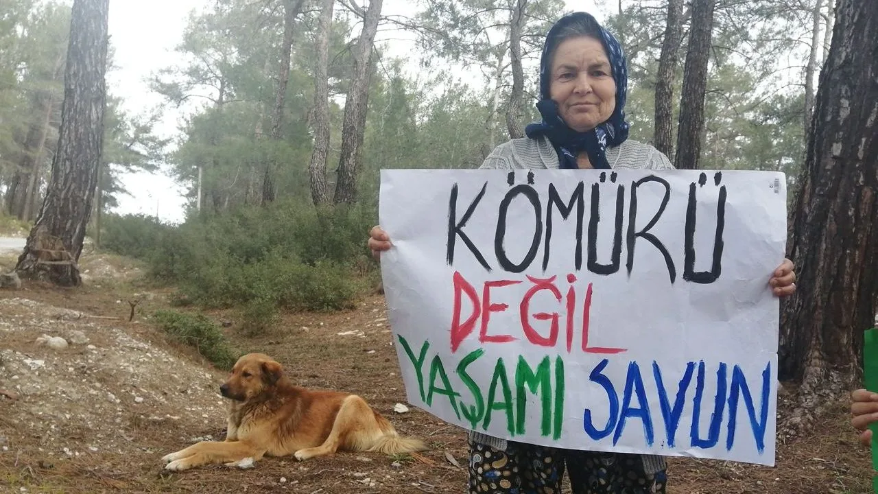 Akbelen Ormani Olayi Nedir Akbelende Agaclar Neden Kesildi1