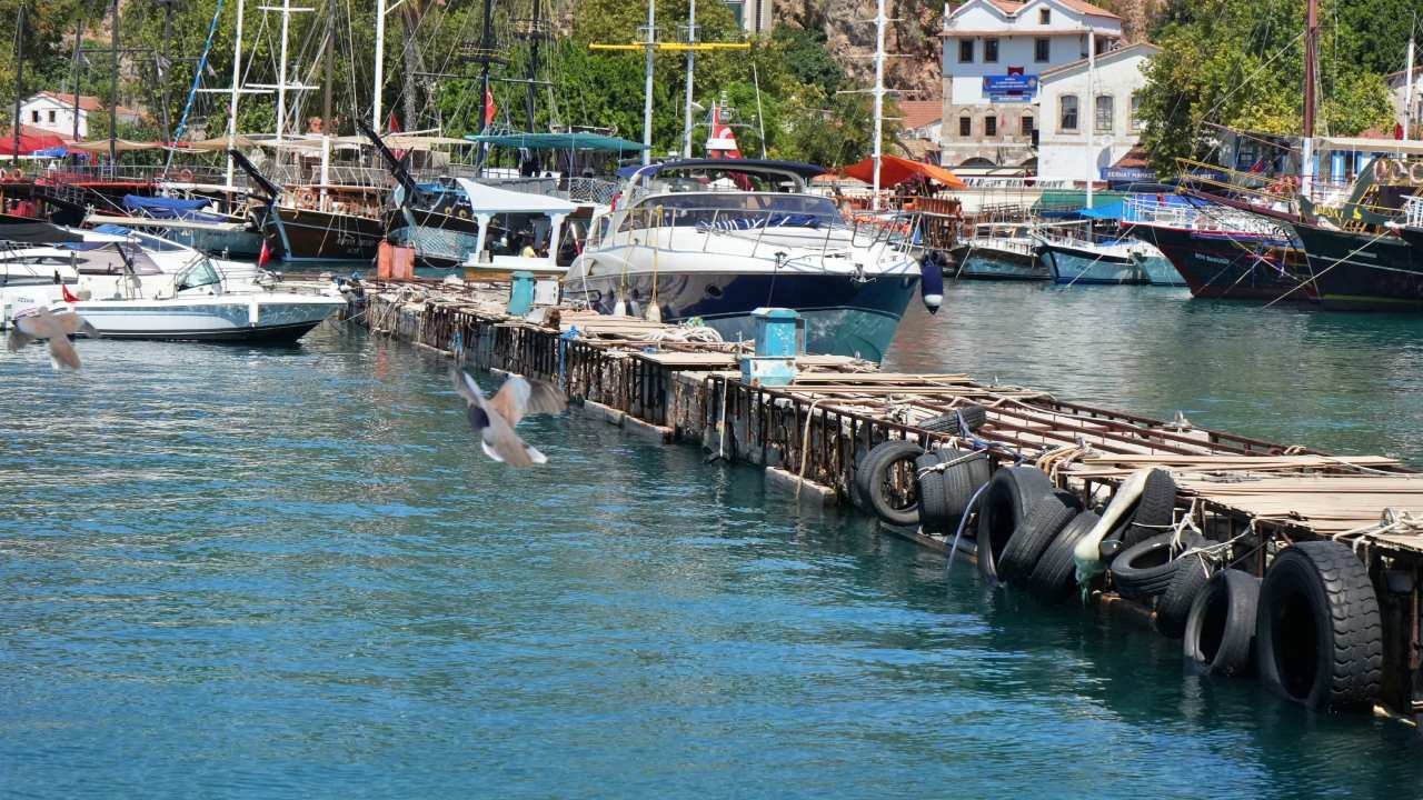 Antalya Denizi Isindikca Baliklar Kaciyor Yabanci Turler Istilaya Basladi (1)