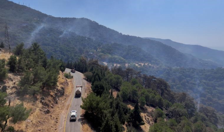 Bolu Ve Izmirdeki Orman Yanginlarinin Ardinda Kalan Tahribat Havadan Goruntulendi 5