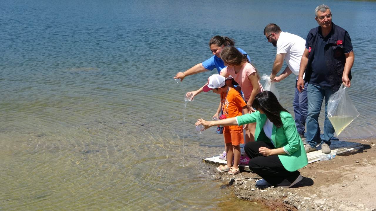 Canakkale Barajlarina Tarihi Yatirim 1 Milyon 750 Bin Sazan Suya Birakildi (4)