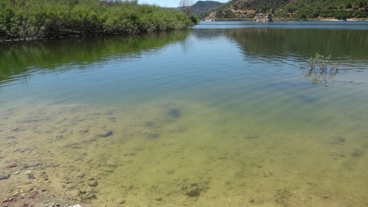 Canakkale Barajlarina Tarihi Yatirim 1 Milyon 750 Bin Sazan Suya Birakildi