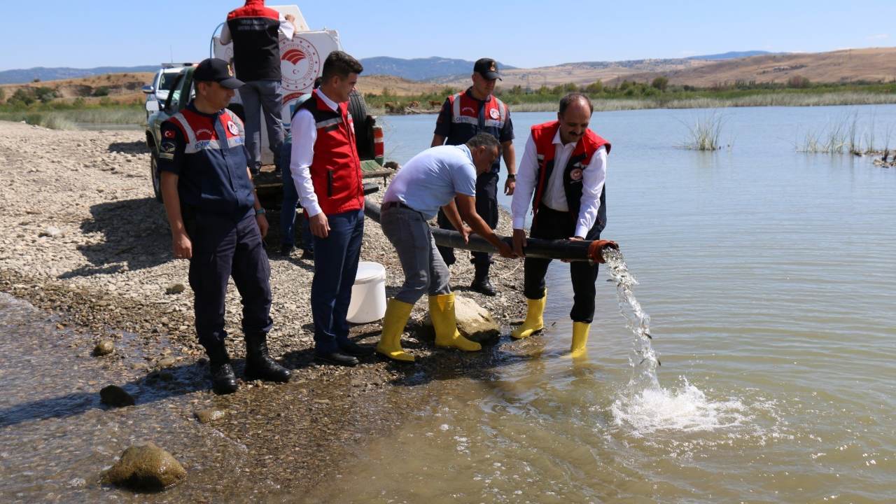 Corumda Barajlar Canlandi 12 Milyon Yavru Sazan Suya Salindi (1)