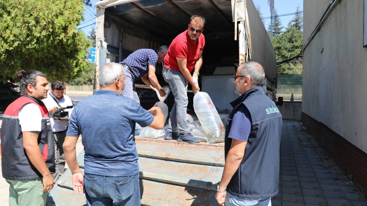 Eskisehirde Su Kaynaklari Baliklarla Dolu 715 Bin Yavru Sazan Suya Salindi