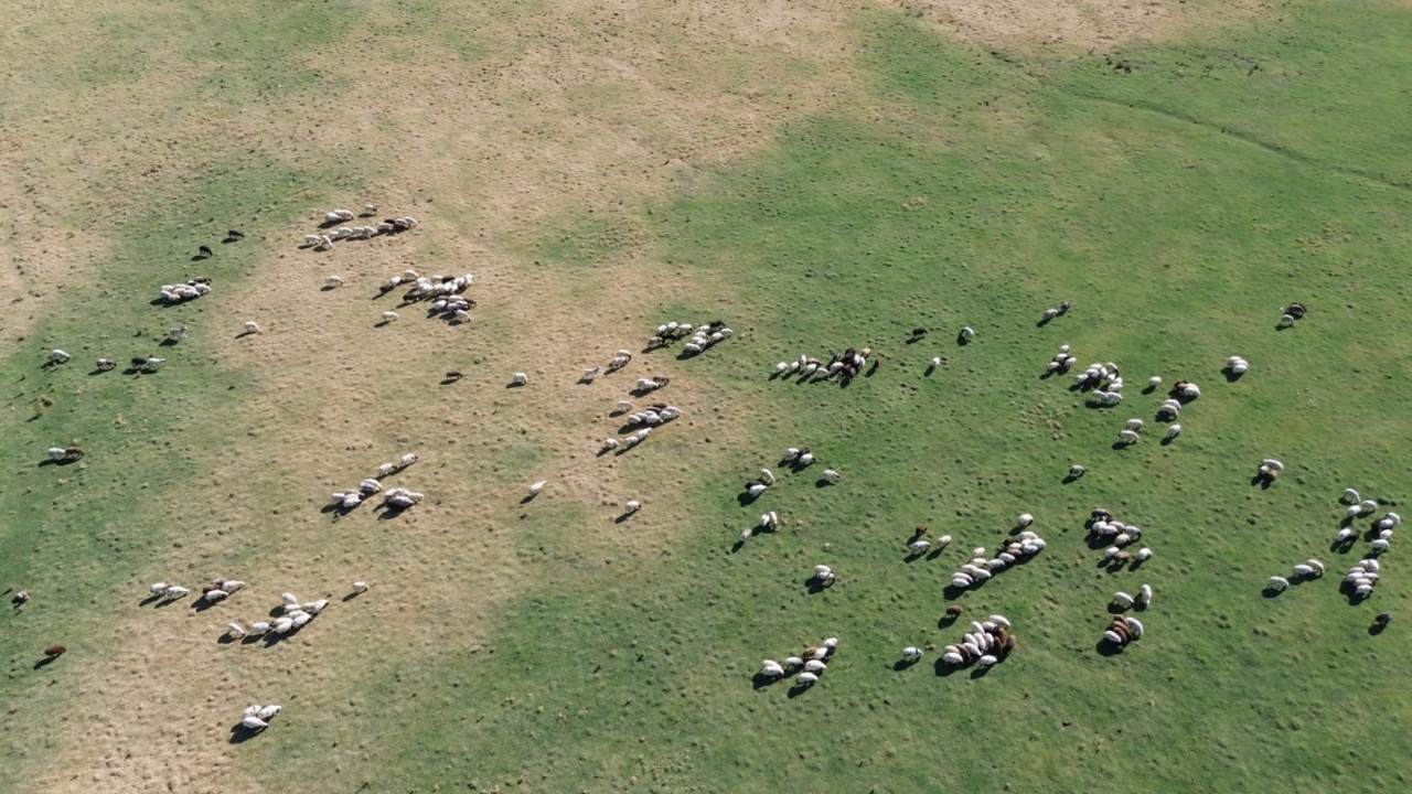 Bitlisteki Doga Harikasi Arin Golu Kurudu Kuslar Goc Ediyor