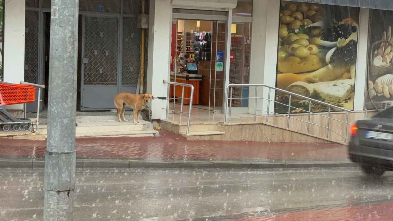 Boluda Gok Gurultusu Ve Saganak Vatandaslar Hazirliksiz Yakalandi