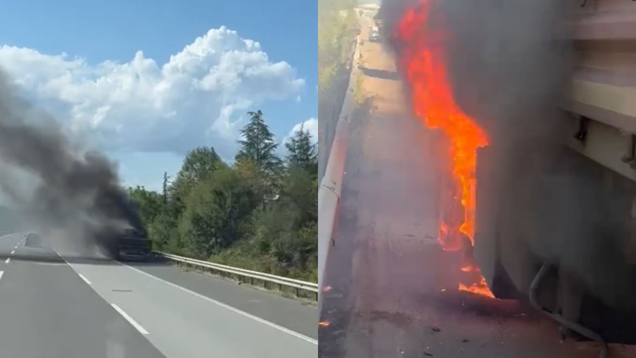 Duzcede Tirin Dorsesi Alevlere Teslim Oldu (1)