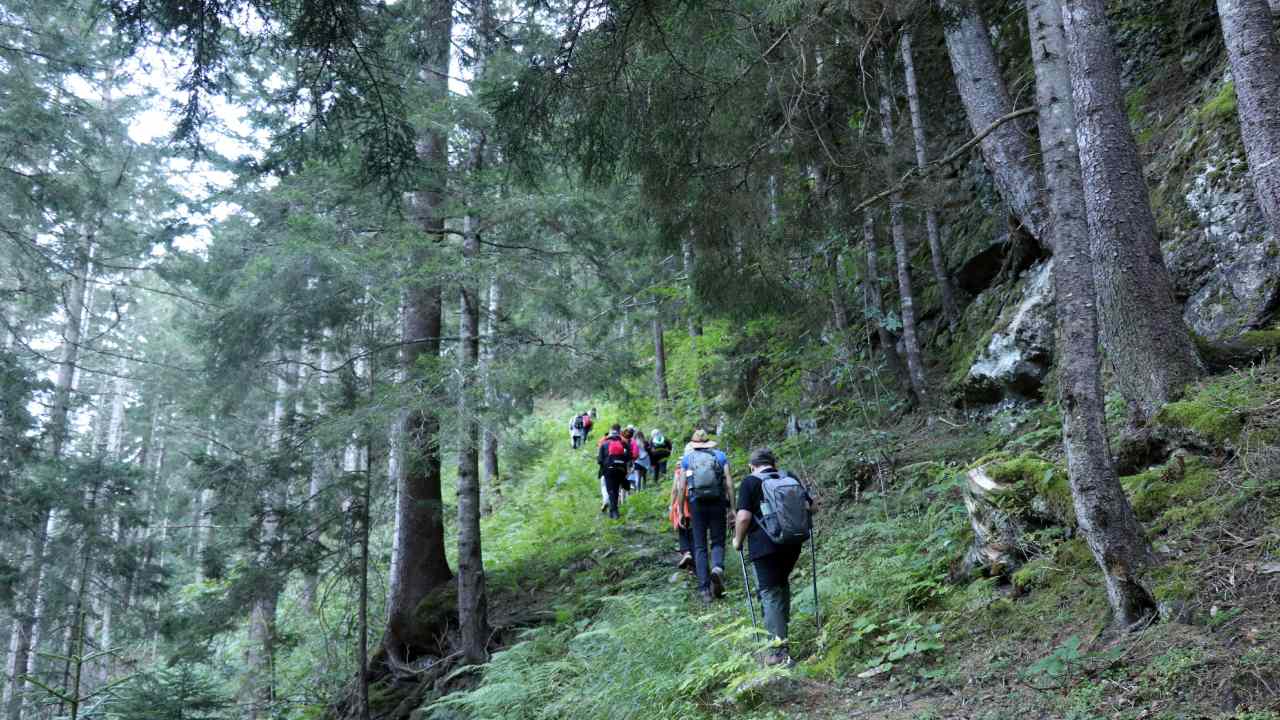 Gumushanenin Gizli Cenneti Santa Harabelerinde Tarihi Patikalar (2)