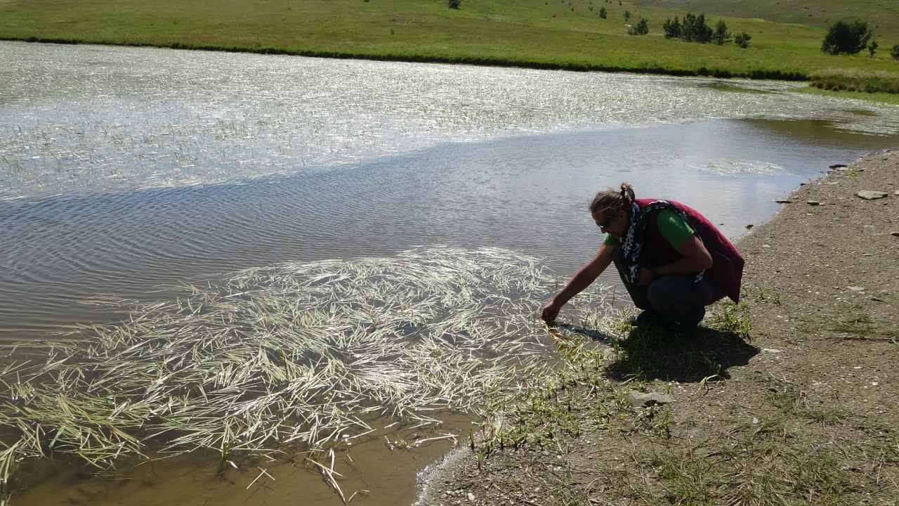 Ilgaz Daglarinin Zirvesindeki Buzul Golu Ziyaretcilerini Bekliyor