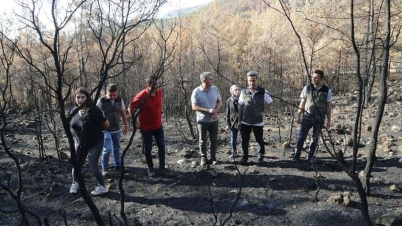 Muglada Yanginin Ardindan Baslatilan Agaclandirma Hiz Kesmiyor (2)